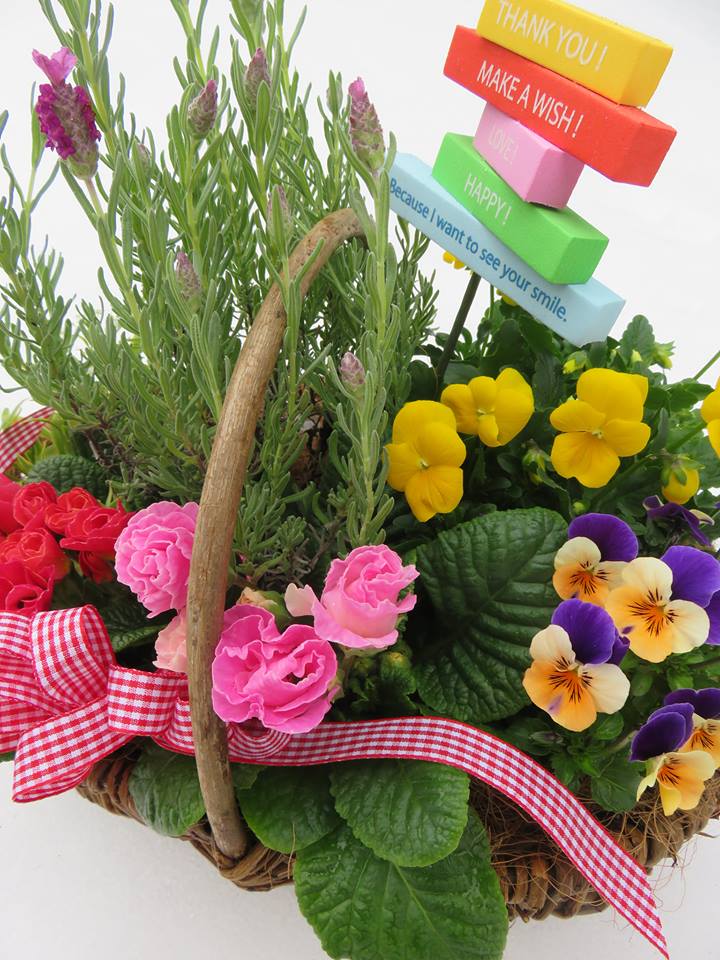 お誕生日プレゼントの寄せ植え