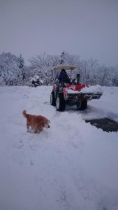 16506967_1235866603158070_143791948_n