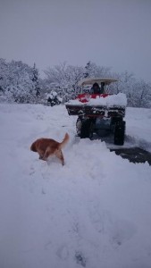 16507467_1235866609824736_662549296_n