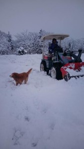 16507681_1235866589824738_1097448628_n