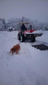 16507686_1235866623158068_1392746088_n