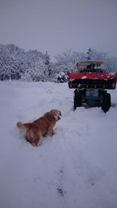 16507737_1235866569824740_1689909550_n