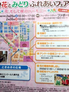 16508932_663936360459836_5502572568371782344_n