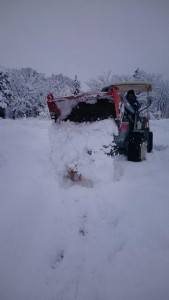 16521995_1235866503158080_647256181_n