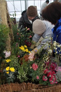 16684751_1241744229236974_2131985785_n