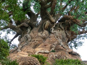 16903205_1259764104101653_3893051915474817361_o