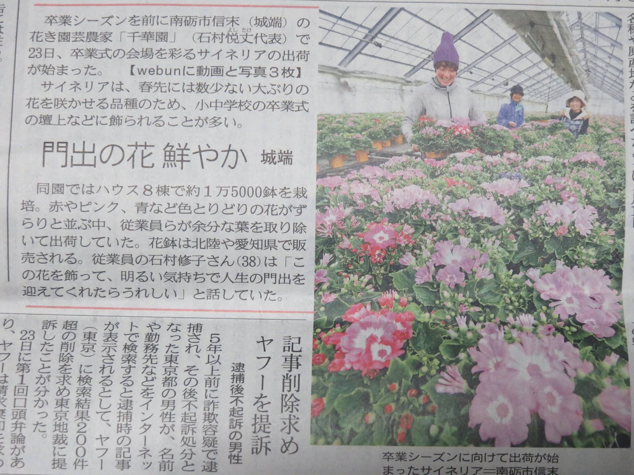 連日に渡り北日本新聞さまさま