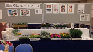 16938980_671076219745850_2786289042483903986_n