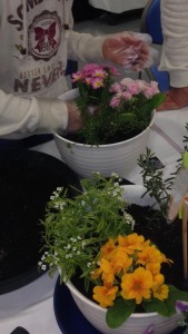 16939683_671544939698978_3664254208664008320_n