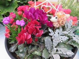 16990248_1257892357622161_881954735_o