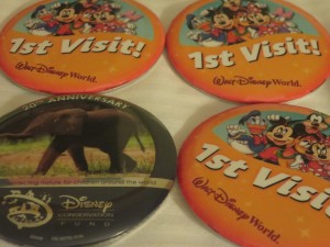 16992146_1259802687431128_5971124014513945320_o