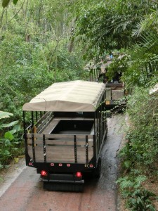 16996047_1259764247434972_5483994538587158359_n