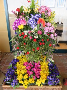 16996728_1257892347622162_747349072_n