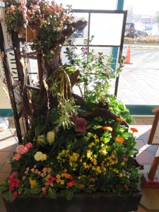 16996960_1257892994288764_1278376257_n