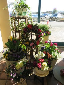 16997348_1257892737622123_237374252_n