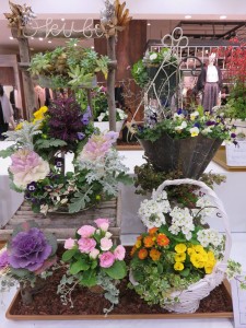 16997425_1257892350955495_1971723588_n