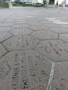 16997830_1259800687431328_6878618465090698447_n