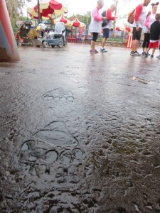 16999104_1259801274097936_1610790469239770091_n