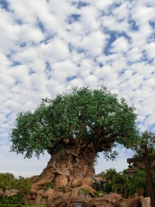 16999109_1259760220768708_2175733926774002104_n