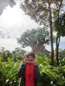 16999174_1259760740768656_346590601218167438_n