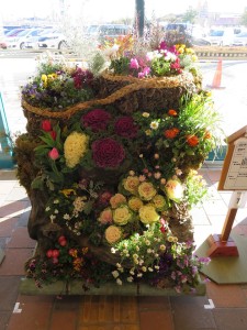 17006070_1257892990955431_350869460_n