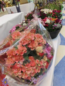 17006152_1257891984288865_717639047_n