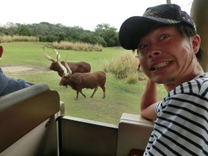 17015951_1259768180767912_5867045868332762710_o