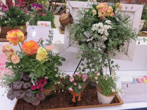 17016362_1257892360955494_1097590625_o