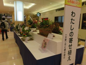 17016572_1257892977622099_742485712_o