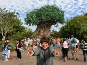 17016768_1259759960768734_3775981531027911223_o