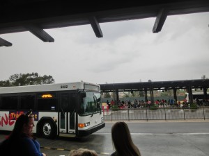 17017170_1259772120767518_1125618227755376262_o