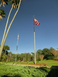 17022016_1259711920773538_5961780293793812924_n