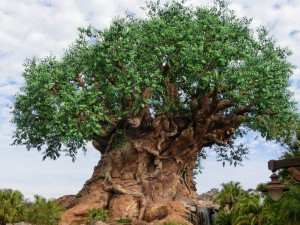 17038985_1259760214102042_748509802173020568_o