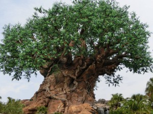 17038995_1259769274101136_8693479428525310637_o