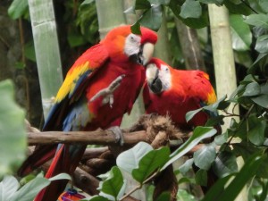 17039375_1259770590767671_1908906010471594515_o