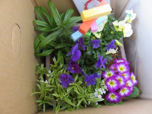 17036631_1261269100617820_1114095986_o