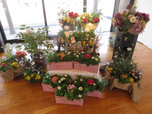 17091443_1264554840289246_888087651_o