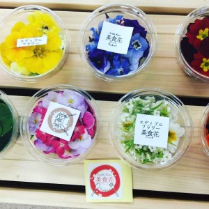 17103733_1262542960490434_1658325376072014156_n