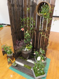 17141802_1264554850289245_1888448917_n