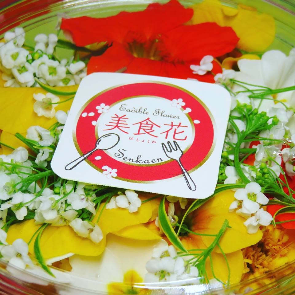 夏が恋しくなりました(笑)