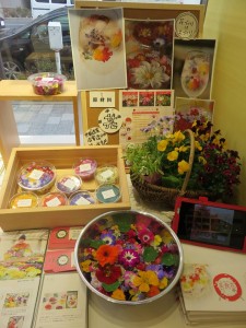 17155974_1273719356039461_690581874906172124_n