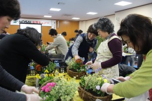 17157655_1267115683366495_1594317219874089785_o