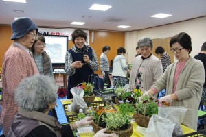 17159006_1267115513366512_3222027540114066252_o