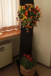 17198271_1268731523204911_1183154087_n