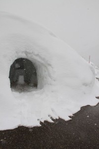 17198511_1268732056538191_1199982361_n