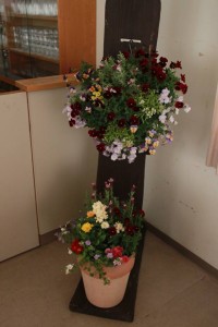 17199198_1268731189871611_1611524397_n