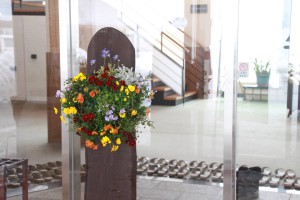 17199944_1268732053204858_1458425917_o