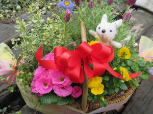 17200407_1269601669784563_1276905536_o