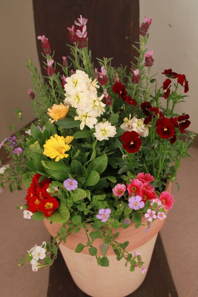 シンポジウムの会場に春を演出