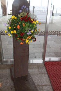 17204441_1268732033204860_1941851816_n